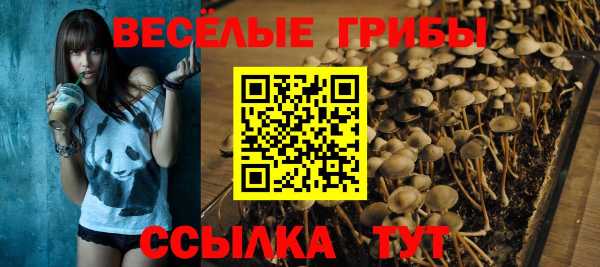 Псилоцибиновые грибы ЛСД Калуга