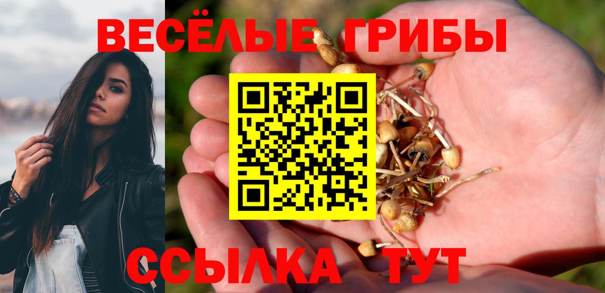 Галлюциногенные грибы Psilocybe  Вход с VPN  Галлюциногенные грибы Cubensis  Калуга 